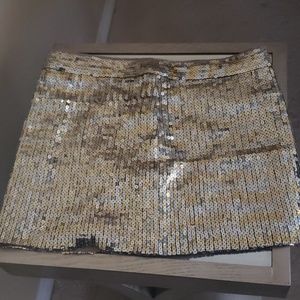 Gold and silver sequin skirt